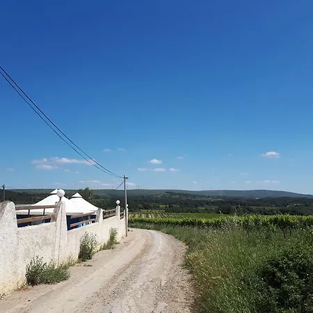 Borepo Villeveyrac